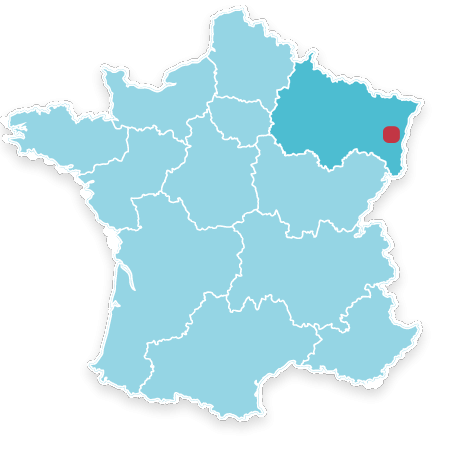 88100 Saint di des vosges 